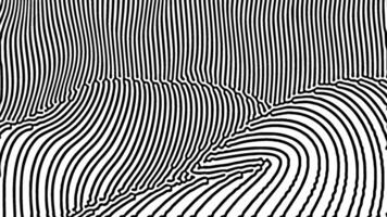 Abstract optical illusion with flowing black and white lines creating a dynamic wave effect vector