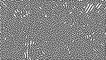 Abstract optical art with intricate black and white lines vector