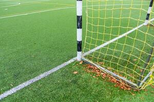 partial view of a goal in a 7-a-side soccer field photo