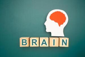 Top view of head with a brain made from paper and wooden cubes with brain text on a green background photo