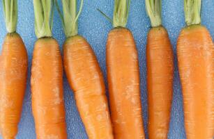 Fresh Orange Carrots on a Blue Background Highlighting Organic Produce Quality photo