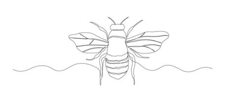 Bee one continuous line sketch. Hand drawn doodle illustration of insect vector