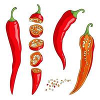 Red Chile pepper cut into pieces lengthwise and crosswise, spicy cayenne pepper with seeds, illustration vector