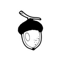 A black and white drawing of an acorn vector