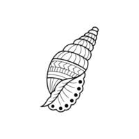 A black and white drawing of a shell vector