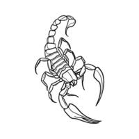 Scorpion coloring page vector