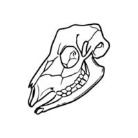 A drawing of a skull with a mouth open vector