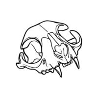 A drawing of a cat skull with its fangs vector