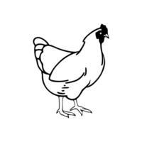A black and white drawing of a chicken vector