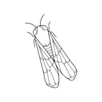 A drawing of a bug with wings vector