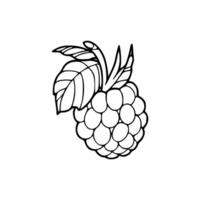 A black and white drawing of a raspberry vector