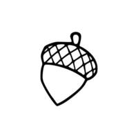A black and white drawing of an acorn vector