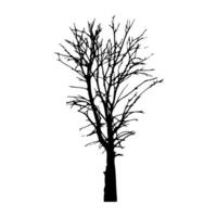 A black and white silhouette of a tree vector