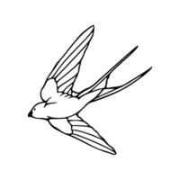 A black and white drawing of a swallow vector