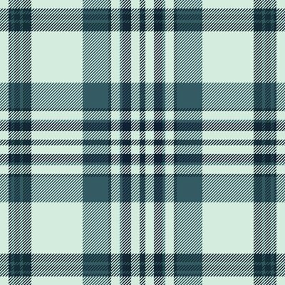 Amazing tartan textile plaid, net texture pattern. Relax check fabric background seamless in light and dark colors.