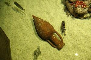 Amphora on the sand in the water. An ancient jug in an aquarium. Fossil photo