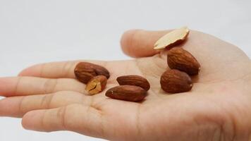 handful of nuts, almond isolated white background photo