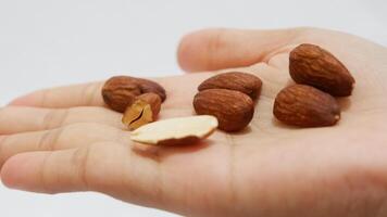 handful of nuts, almond isolated white background photo