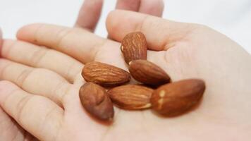 almonds in a hand photo