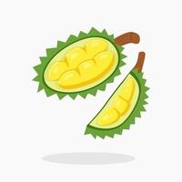 Durian fruit cartoon icon illustration isolated on white background. Peeled durian fruit. Durio zibethinus. vector