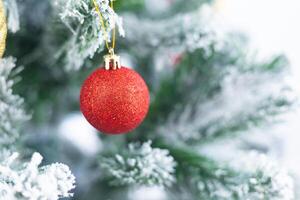 Fir tree or green branch decorated with red ball things as a Christmas or New year background. photo