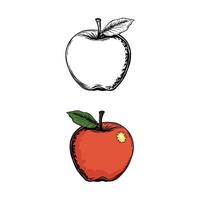Apple art design vector
