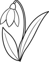 Spring Snowdrop design vector