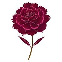 maroon carnation silhouette vector