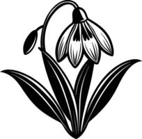 Spring Snowdrop flower vector