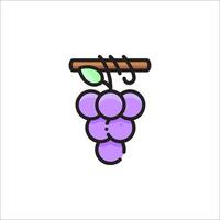 Grapes hanging on a branch icon vector