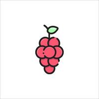 Raspberry icon illustration vector