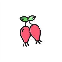 Two radishes are shown in a cartoon style vector