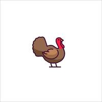 A turkey is standing on a white background vector