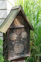House for insects. A box made of bark, straw and stones. Bricks, cones and bamboo for the insect to settle there. Home for wild bees. Eco friendly do-it-yourself craft. Idea for a garden. DIY photo