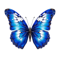 Blue butterfly with vibrant wings spread wide displaying intricate and colorful patterns png