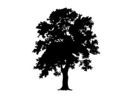 Black Trees and root with leaves look beautiful and refreshing. Tree and roots LOGO style. vector
