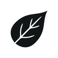 Leaf icon embodies a bright and lively style, ideal for representing environmental care, nature walks, or botanical designs vector