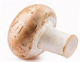 Falling fresh champignon mushrooms floating in the air, isolated on white background. photo