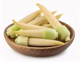 Baby corn, isolated on a white background, shows its small and slender shape. photo