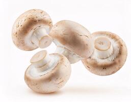 Falling fresh champignon mushrooms floating in the air, isolated on white background. photo