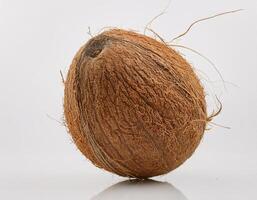 Fallen coconut floating in the air, isolated on white background photo