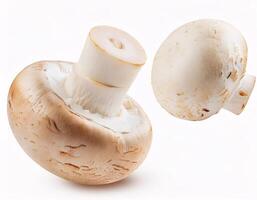 Falling fresh champignon mushrooms floating in the air, isolated on white background. photo