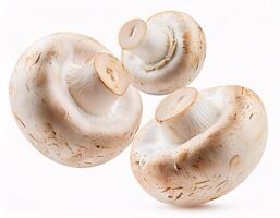 Falling fresh champignon mushrooms floating in the air, isolated on white background. photo