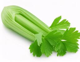 Celery isolated on white background photo