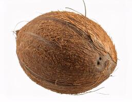 Fallen coconut floating in the air, isolated on white background photo