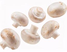 Falling fresh champignon mushrooms floating in the air, isolated on white background. photo