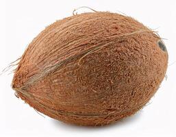 Fallen coconut floating in the air, isolated on white background photo
