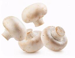 Falling fresh champignon mushrooms floating in the air, isolated on white background. photo