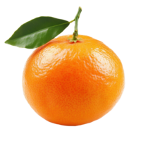 A single orange with a leaf on it png