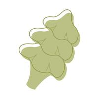 A conifer color. Clip art for your projects. vector